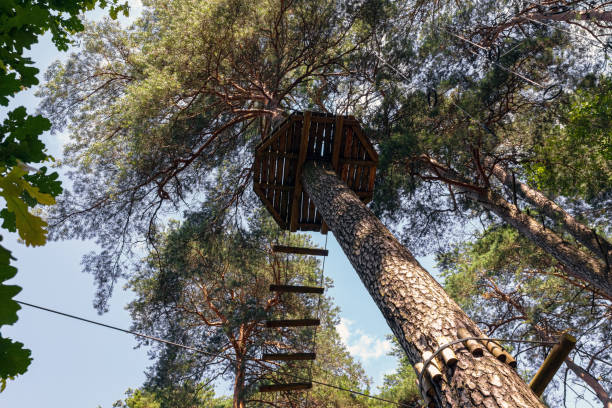 istock Ladder for an obstacle course in the forest. Extreme sport. 1256529276