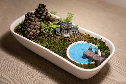 A tidy table garden in the ceramic plate with tree-leaf decoration, an ideal hobby lifestyle. Selective focus on the main gate (toy object) part.