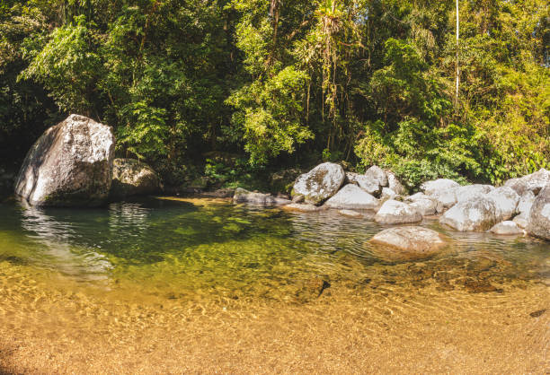 istock Crystal clear water on this jungle lake 1256531796