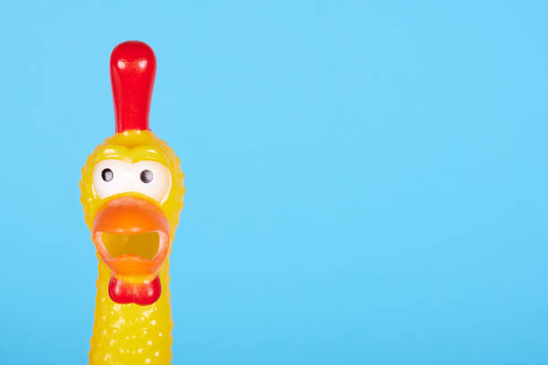 istock Funny rubber toy chicken with open mouth. Isolated on blue background. 1256533046