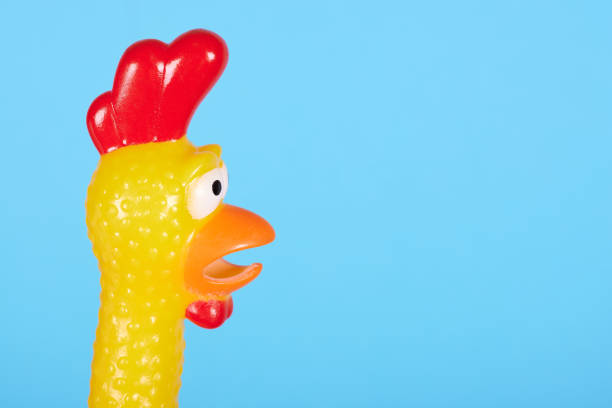 istock Funny rubber toy chicken with open mouth. Isolated on blue background. 1256533057