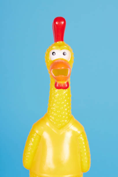 istock Funny rubber toy chicken with open mouth. Isolated on blue background. 1256533079