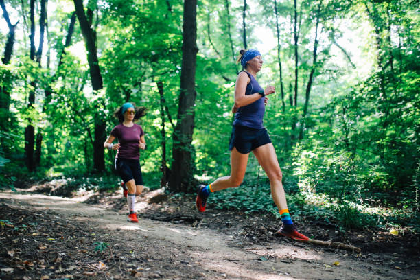istock Two women jogging through the forest 1256541135
