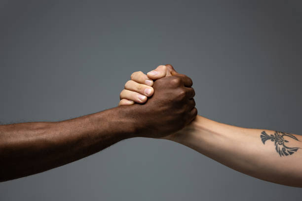 istock Racial tolerance. Respect social unity. African and caucasian hands gesturing isolated on gray studio background 1256543033