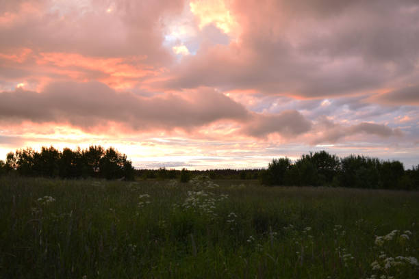 istock Beautiful sunset. Pink clouds over the field 1256543112