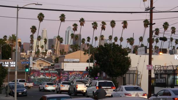 el horizonte urbano y las palmeras de los angeles. pintura de graffiti en la calle vermont. rascacielos highrise en el centro. intersección de carreteras por la noche. - santa monica city of los angeles night los angeles county fotografías e imágenes de stock