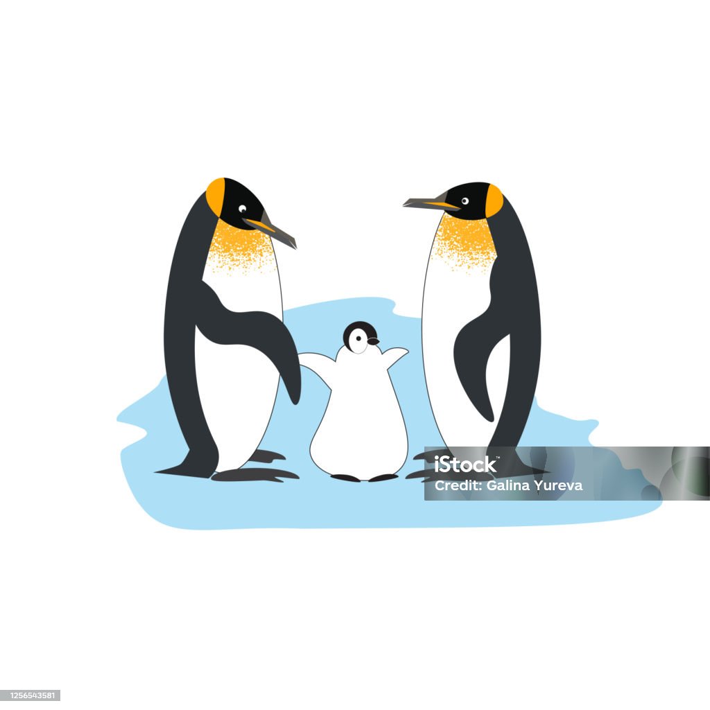 Một Gia Đình Chim Cánh Cụt Hoàng Gia Hình minh họa Sẵn có - Tải ...