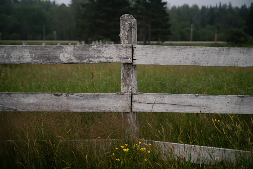 Close up of Worn out  White Fence Post in Hay Field.  Captured in Goulais River, Northern Ontario.
