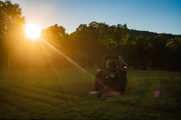 istock Back of Tractor Cutting a Hayfield 1256546507