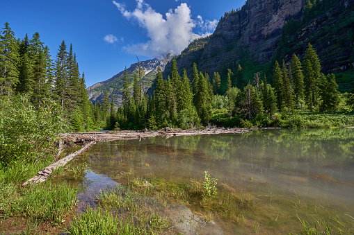 The Beautiful Natural Scenery of Glacier National Park's Avalanche Lake Area in Montana, USA.