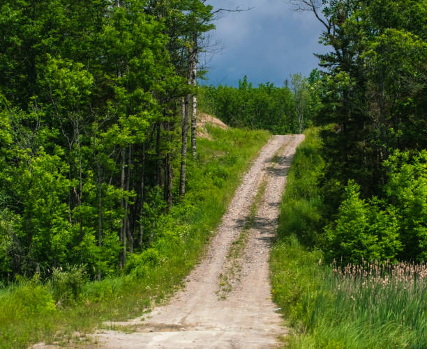 istock Gravel Dirt Road 1256547066