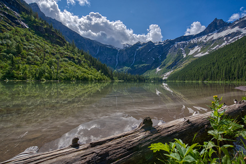 The Beautiful Natural Scenery of Glacier National Park's Avalanche Lake Area in Montana, USA.