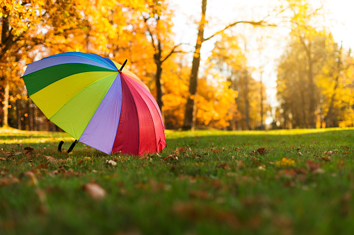 Colorful rainbow umbrella in park, autumn season concept card, no people