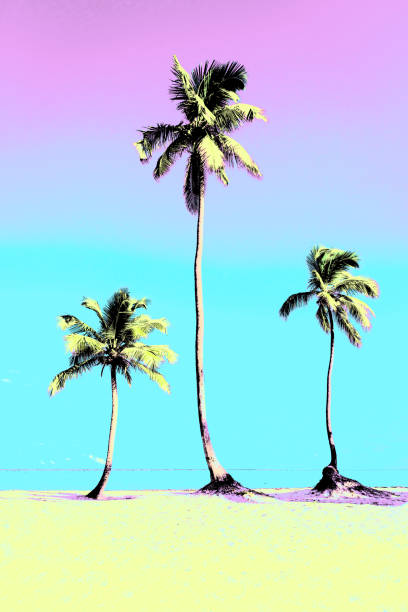 istock Coconut palm trees an pristine bounty beach 1256549728