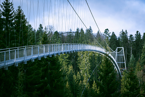 Landscape with a suspension bridge in the Black Forest National Park near the city of Bad Wildbad, Germany. Metal bridge over the top of the tree.