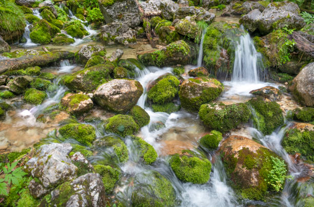 istock Staircase River Waterfall Stream, Dachstein, Obertraun, Austria 1256555422