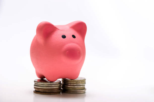 A small pink piggy Bank stands on coins. The concept of life's wealth. stock photo