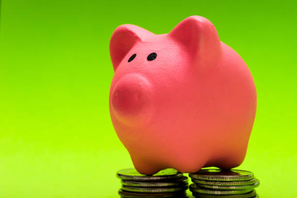 A pink piggy Bank on a green background stands on coins. The concept of savings, financial management. stock photo
