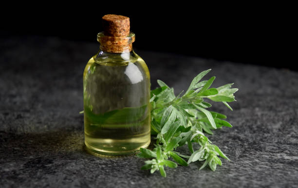 istock wormwood absinth natural oil 1256558530