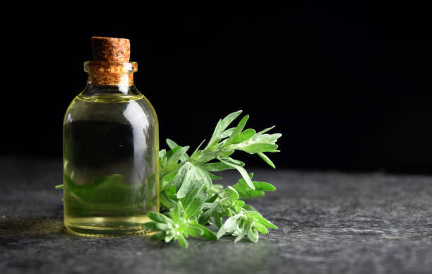 istock wormwood absinth natural oil 1256558732