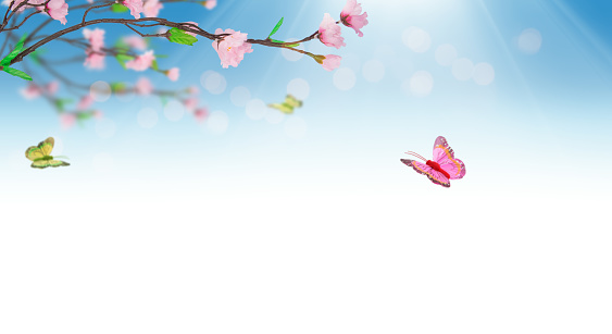 Tree Flowers and Butterflies against Blue Sky and Sun Rays