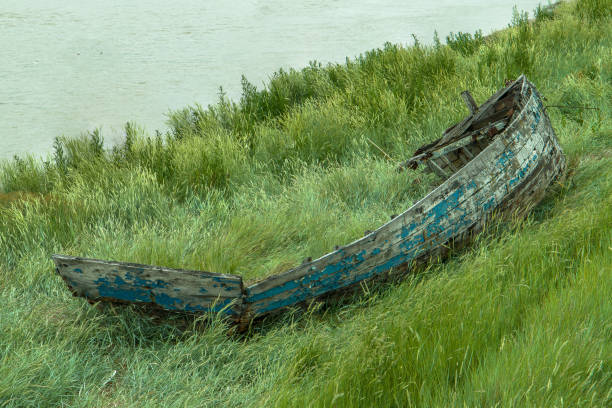 velho barco de remo naufragado na grama - peeling paint audio - fotografias e filmes do acervo