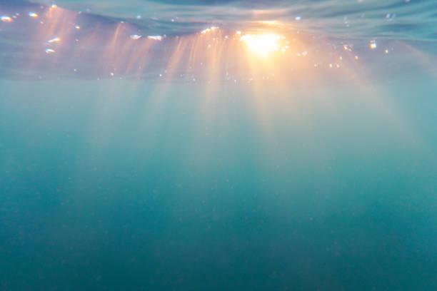istock Bright beams of sunlight refracting through the surface of the atlantic ocean. 1256566982