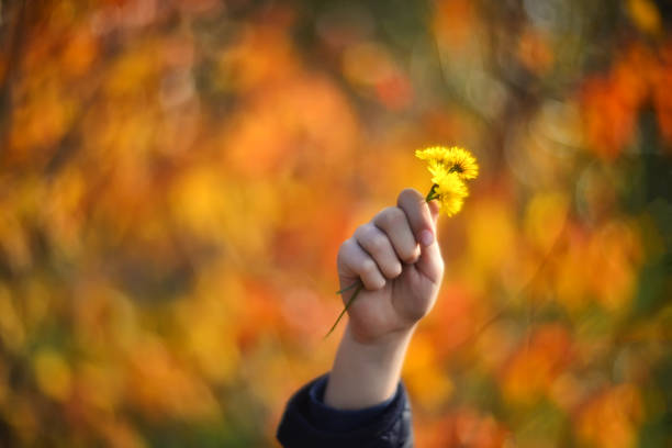 hands with flowers on blurred autumn background