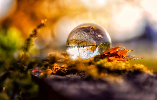 istock autumn reflection in a glass bowl 1256567160