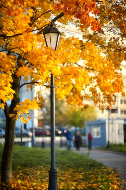 Autumn landscape and lamp post