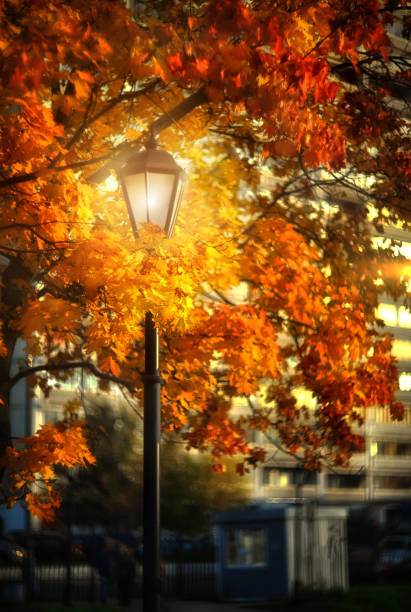 Autumn landscape and lamp post