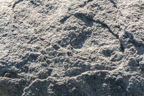 istock surface of the cave rock wall, gray stone texture background. 1256569214