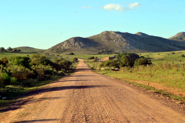 istock Rural road in Lavalleja 1256570290