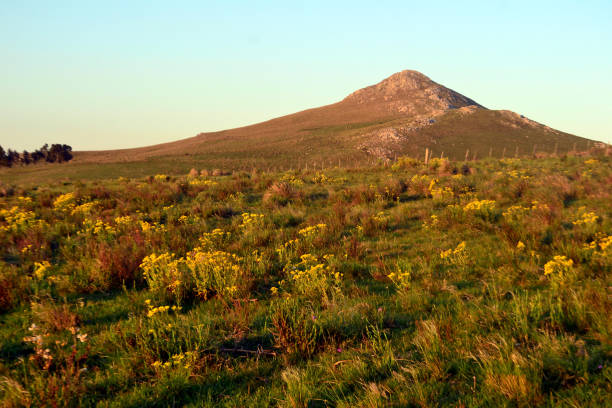 istock Hill and meadow in Uruguay 1256570298