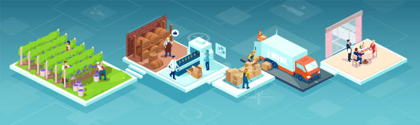 Isometric vector of a wine production process, production beverage from grape, chain from a vineyards farm through factory to consumer on a supermarket shelves or restaurant Isometric vector of a wine production process, production beverage from grape, chain from a vineyards farm through factory to consumer on a supermarket shelves or restaurant chain store stock illustrations