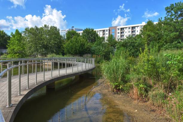 istock Pedestrian bridge over lake in the park 1256575965