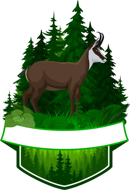 vector woodland emblem with chamois vector woodland emblem with chamois tatra mountains stock illustrations