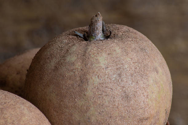 istock Sapotis exotic fruit close up view of the texture. 1256582242