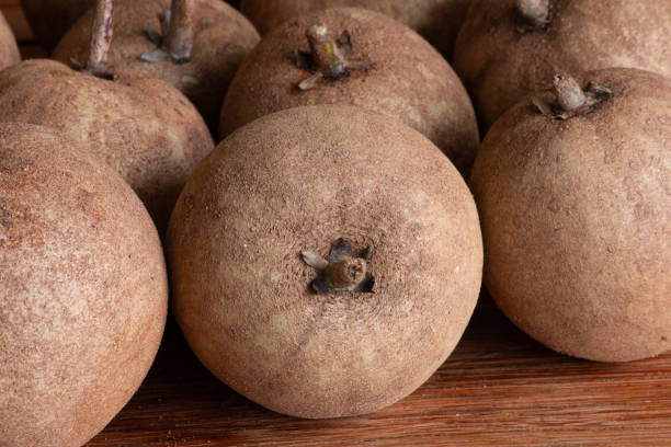 istock Sapotis exotic fruit close up view of the texture. 1256583649