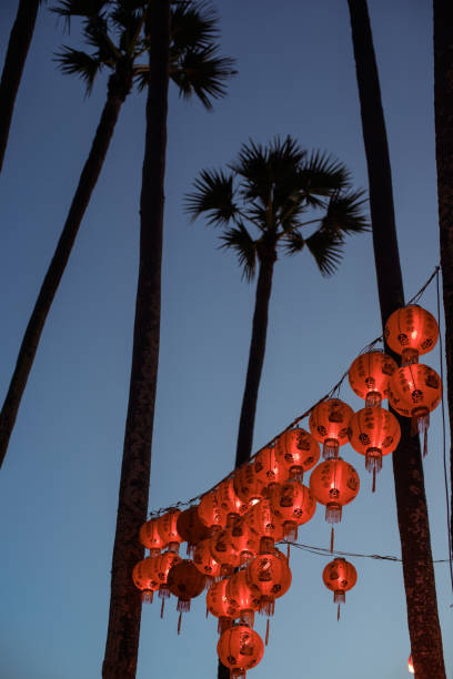 istock Bright Chinese lanterns on palm trees against the evening sky. 1256584369
