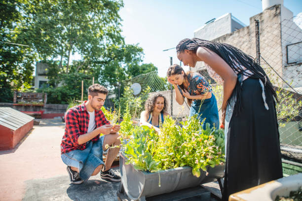 istock Multi-Ethnic Gardeners Checking Growth in Rooftop Planter 1256584408
