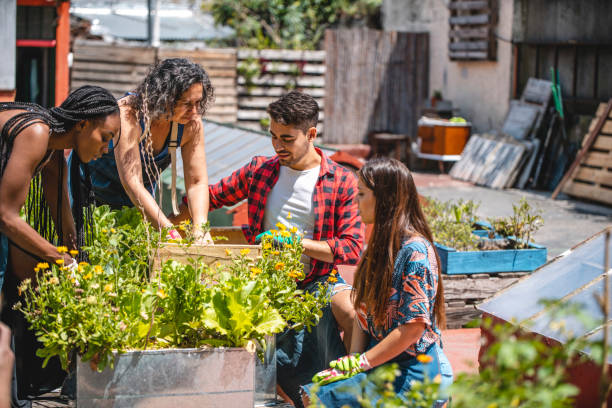 istock Multi-Ethnic Community Gardeners Working in Rooftop Location 1256584438