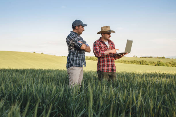 istock Farmers and Technology in the wheat field 1256584622