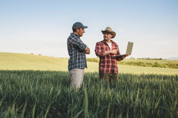 istock Farmers and Technology in the wheat field 1256584623