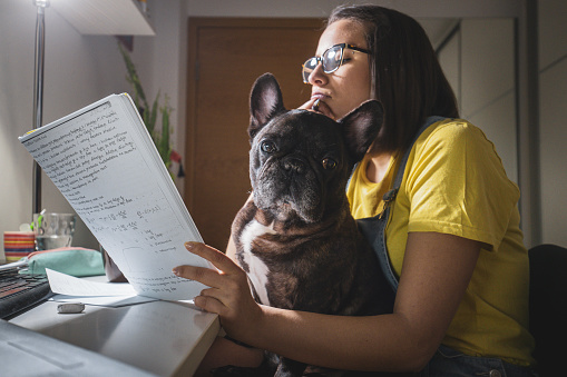 university student studying at home with her french bulldog