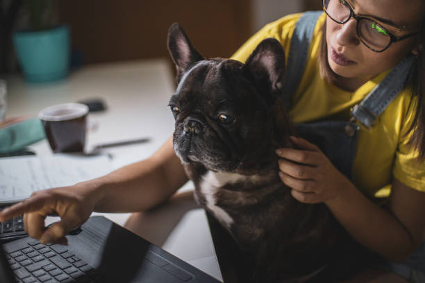 istock Young woman studying at home 1256585338