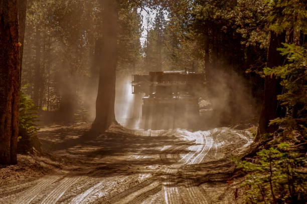 istock Logging Equipment on a Dirt Road 1256586618