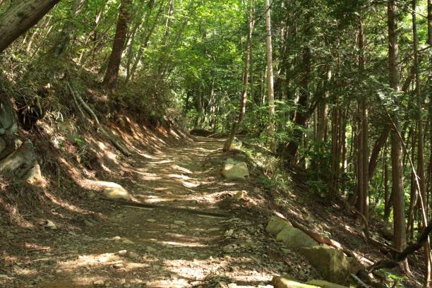istock Japan Ibaraki Prefecture Mount Tsukuba Trail 1256587756
