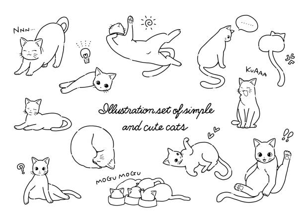 ilustraciones, imágenes clip art, dibujos animados e iconos de stock de set de ilustración de gato simple y lindo dibujado a mano - feline