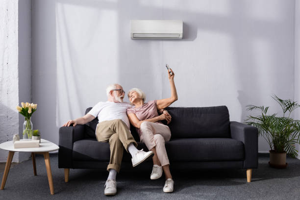 istock Cheerful senior couple using remote controller of air conditioner on couch 1256595934
